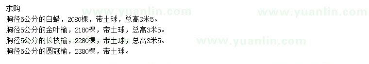 求購(gòu)白蠟、金葉榆、長(zhǎng)枝榆等