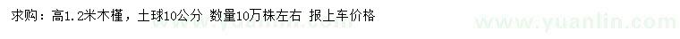 求購高1.2米木槿