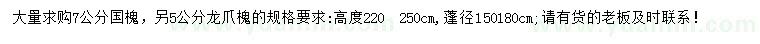 求購7公分國槐、5公分龍爪槐