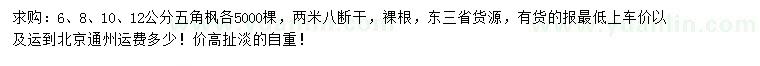 求購6、8、10、12公分五角楓