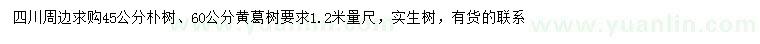 求購45公分樸樹、60公分黃葛