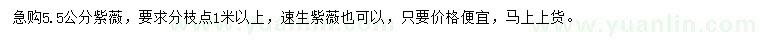 求購(gòu)5.5公分紫薇