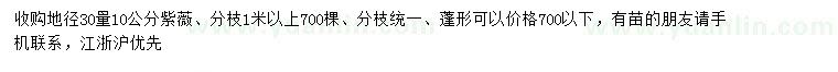 求購地徑30量10公分紫薇