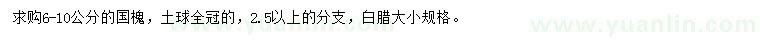 求購6-10公分國槐
