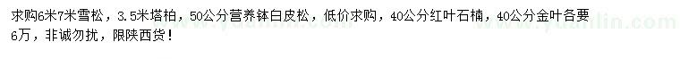 求購雪松、塔柏、白皮松等