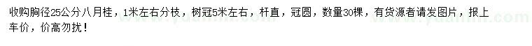 求購(gòu)胸徑25公分八月桂