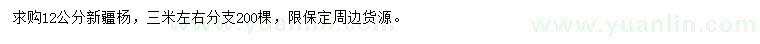 求購12公分新疆楊