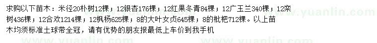 求購樸樹、銀杏、紅果冬青等