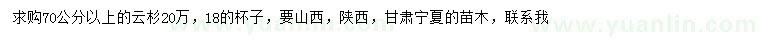 求購70公分以上云杉