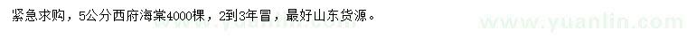 求購5公分西府海棠