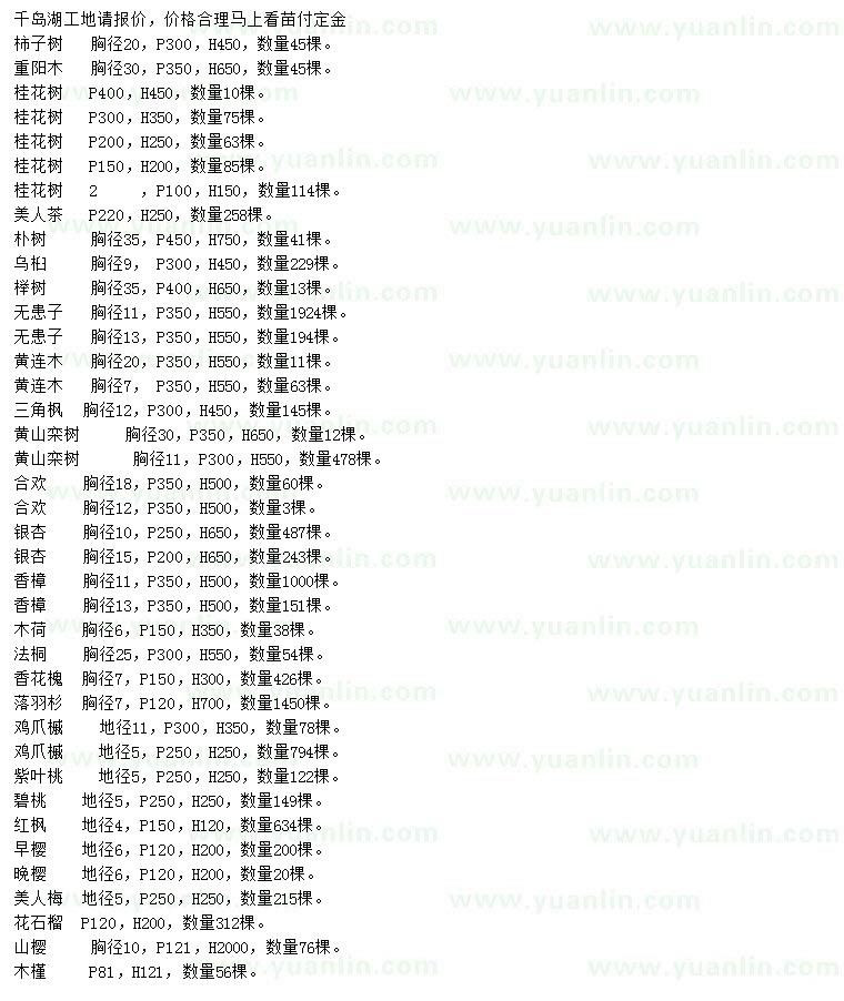 求購柿子樹、重陽木、桂花樹等