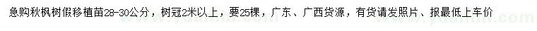 求購28-30公分秋楓