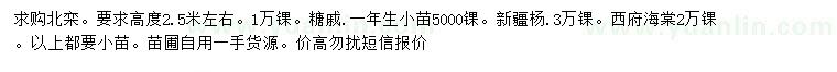 求購北欒、糖槭、新疆楊小苗等