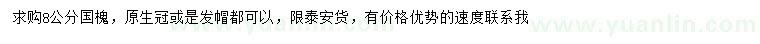求購8公分國槐