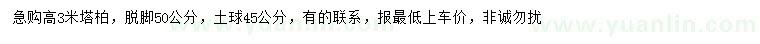 求購高3米塔柏