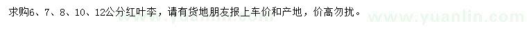 求購6、7、8、10、12公分紅葉李