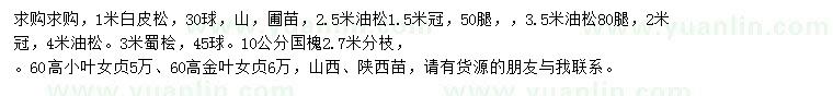 求購白皮松、油松、蜀檜等