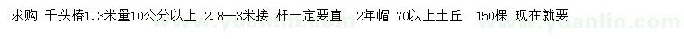 求購1.3米量10公分以上千頭椿