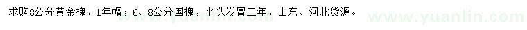 求購8公分黃金槐、6、8公分國槐