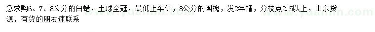 求購6、7、8公分白蠟、8公分國槐
