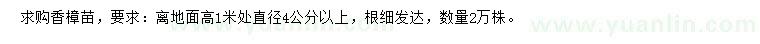 求購離地面高1米處直徑4公分以上香樟