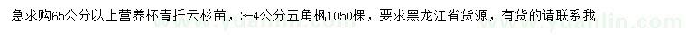 求購65公分以上青扦云杉、3-4公分五角楓