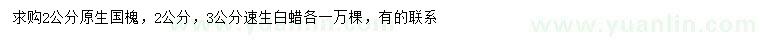 求購2公分原生國槐、2、3公分速生白蠟