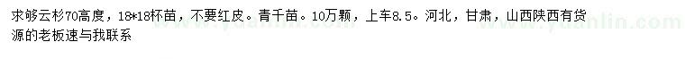 求購(gòu)高度70公分云杉