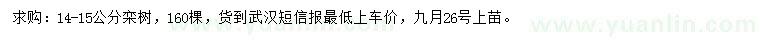 求購14-15公分欒樹