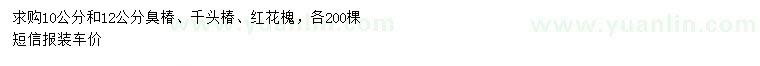 求購10、12公分臭椿
