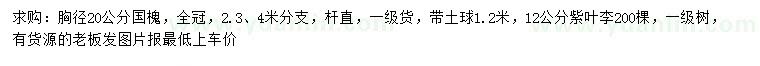 求購胸徑20公分國槐