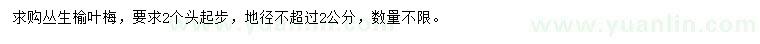 求購(gòu)叢生榆葉梅