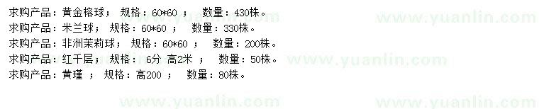 求購黃金榕、球米蘭球、非洲茉莉球等