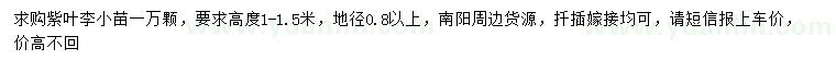 求購高1-1.5米紫葉李小苗