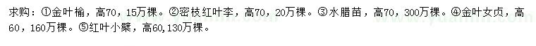 求購金葉榆、紅葉李、水臘苗等