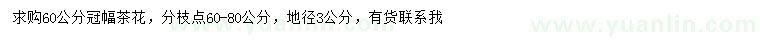 求購60公分冠幅茶花