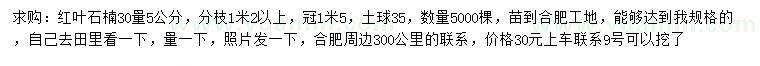 求購米徑2.5公分老式國槐