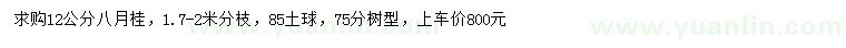 求購(gòu)12公分八月桂