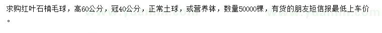 求購高60公分紅葉石楠毛球