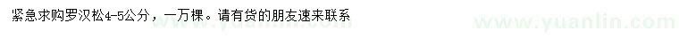 求購4-5公分羅漢松