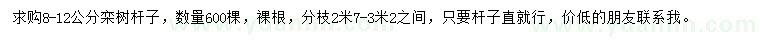 求購(gòu)8-12公分欒樹(shù)