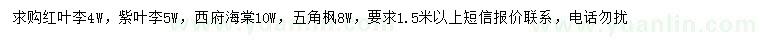 求購(gòu)紅葉李、紫葉李、西府海棠等