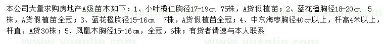 求購(gòu)小葉欖仁、藍(lán)花楹、中東海棗等