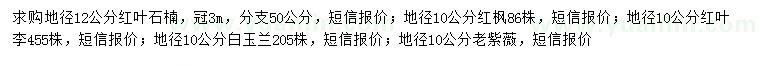 求購紅葉石楠、紅楓、紅葉李等