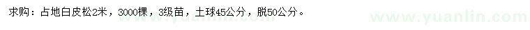 求購(gòu)2米白皮松