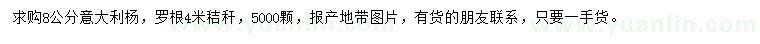 求購8公分意大利楊