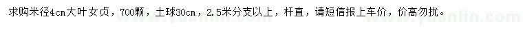 求購米徑4公分大葉女貞