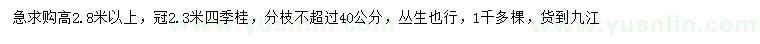 求購高2.8米以上四季桂