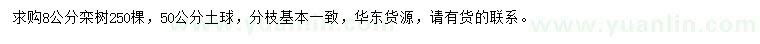 求購8公分欒樹