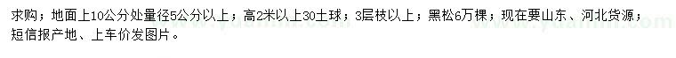 求購地面上10公分處量徑5公分以上黑松